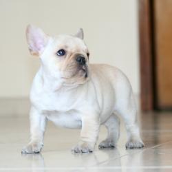 Click sobre la imagen para ampliarla