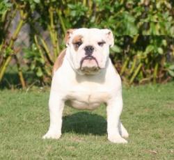 Click sobre la imagen para ampliarla