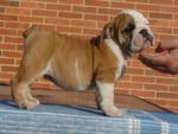 Click sobre la imagen para ampliarla