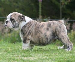 Click sobre la imagen para ampliarla