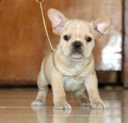 Click sobre la imagen para ampliarla