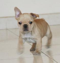 Click sobre la imagen para ampliarla