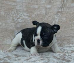 Click sobre la imagen para ampliarla